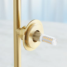 Load image into Gallery viewer, Stellar Floor Lamp-Smoke/Brass
