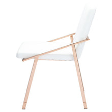 Load image into Gallery viewer, Nika Dining Chair