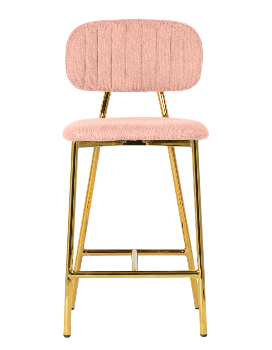 Ariana Counter Stool (Set of 2)